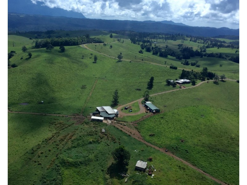 Millaa Millaa QLD 4886