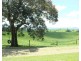 Millaa Millaa QLD 4886