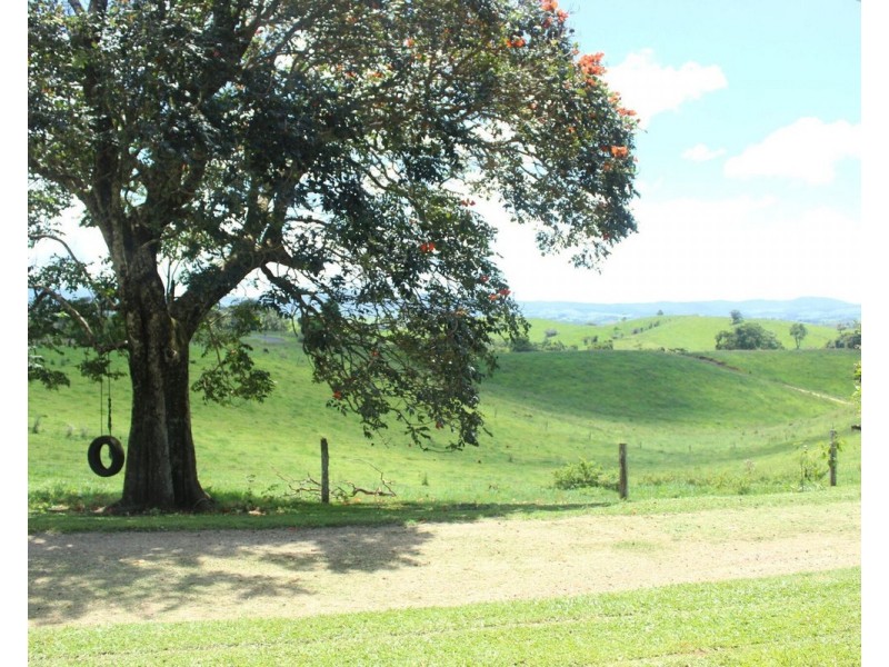 Millaa Millaa QLD 4886