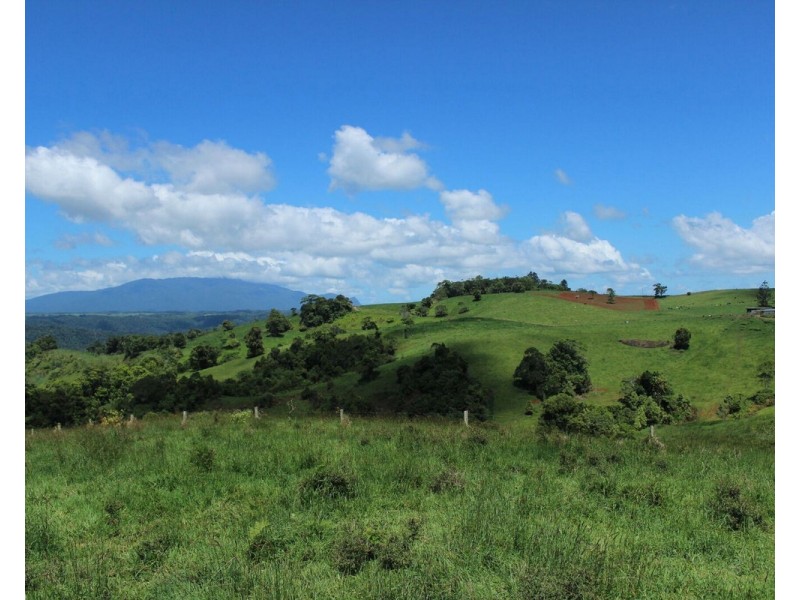 Millaa Millaa QLD 4886