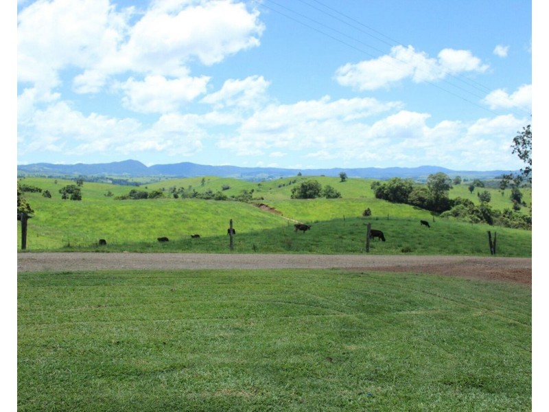 Millaa Millaa QLD 4886