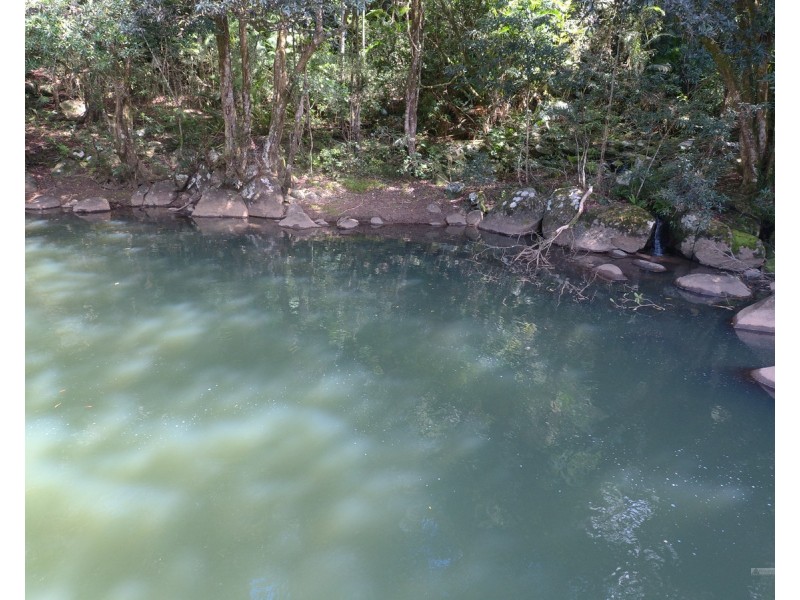 Millaa Millaa QLD 4886
