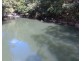Millaa Millaa QLD 4886