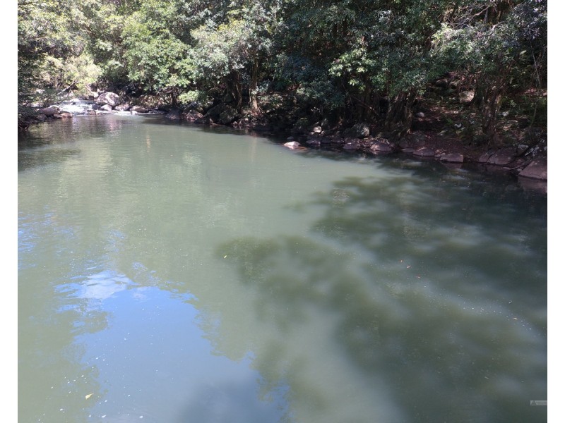 Millaa Millaa QLD 4886