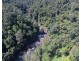 Millaa Millaa QLD 4886