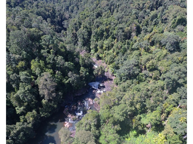 Millaa Millaa QLD 4886