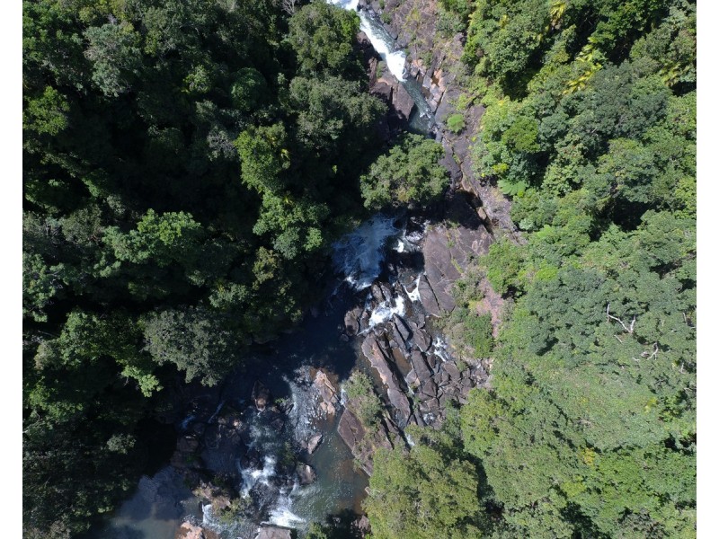 Millaa Millaa QLD 4886
