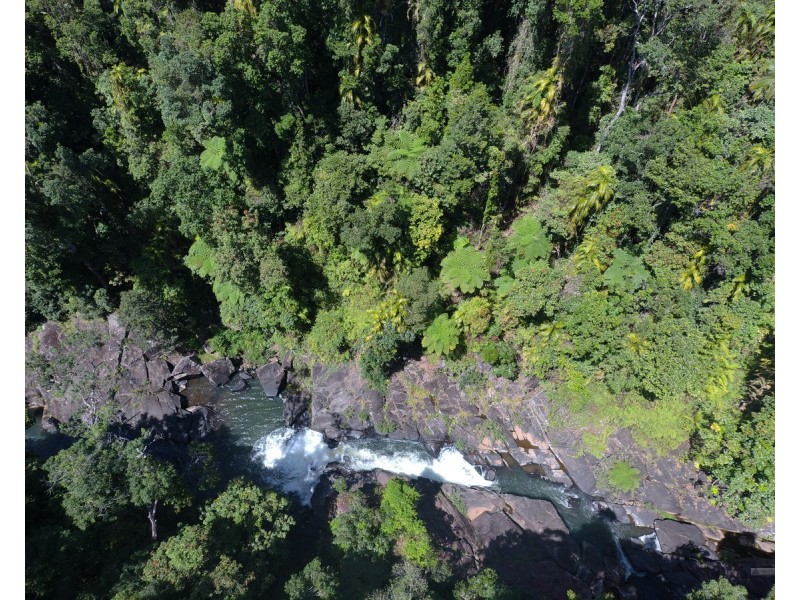 Millaa Millaa QLD 4886