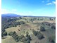 Millaa Millaa QLD 4886