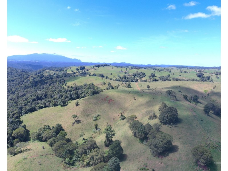 Millaa Millaa QLD 4886
