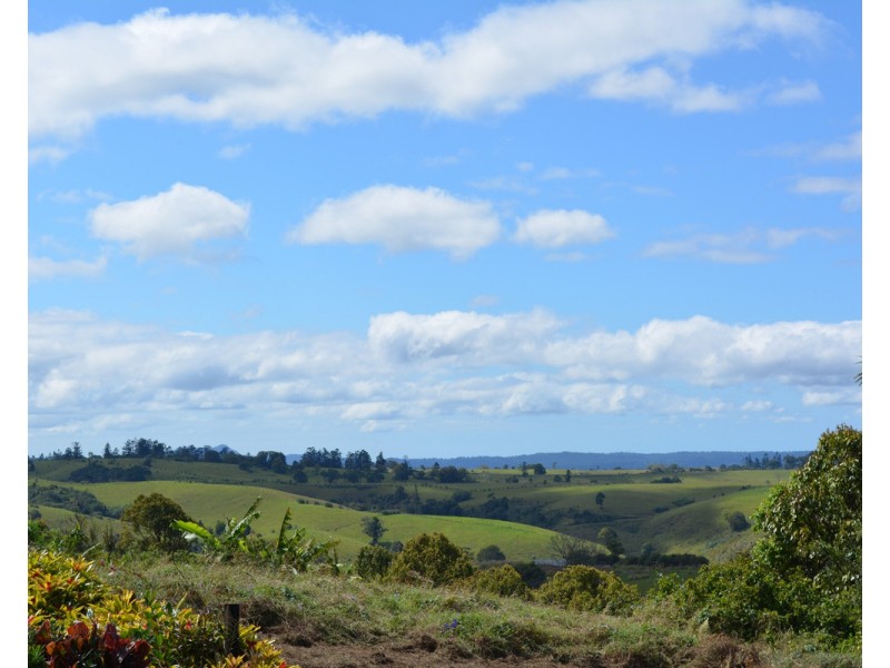 Millaa Millaa QLD 4886