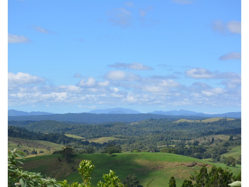 Millaa Millaa QLD 4886