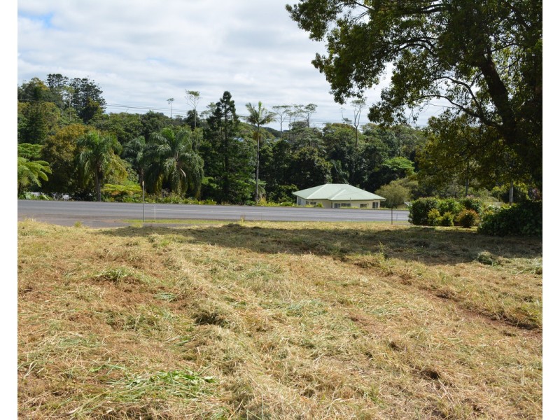 Millaa Millaa QLD 4886