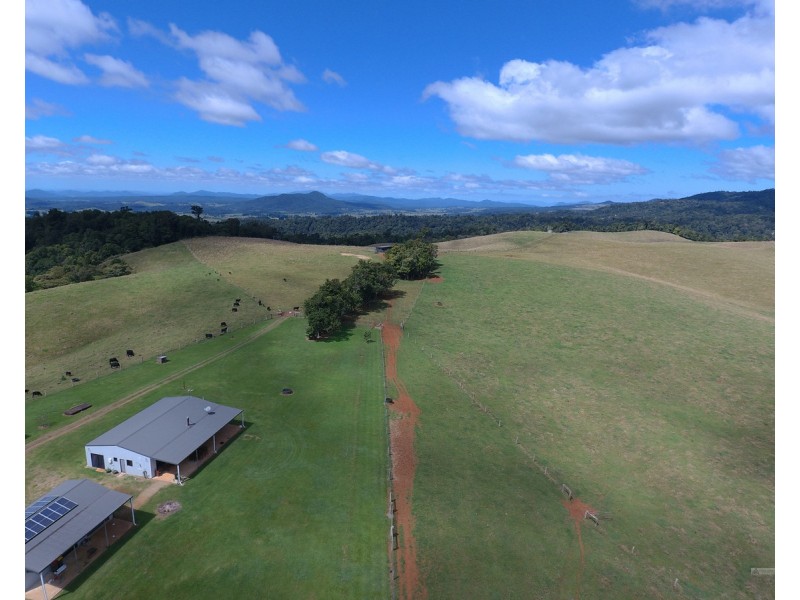Millaa Millaa QLD 4886