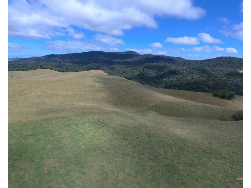 Millaa Millaa QLD 4886