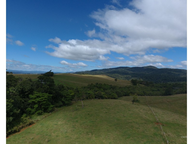 Millaa Millaa QLD 4886