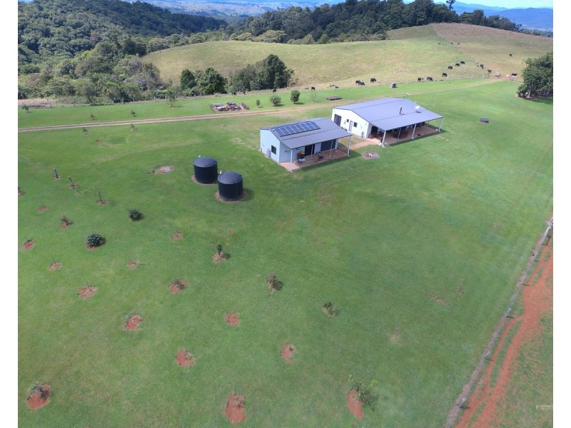 Millaa Millaa QLD 4886