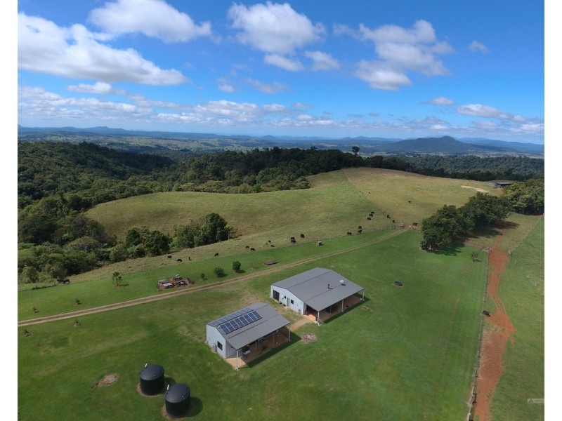 Millaa Millaa QLD 4886