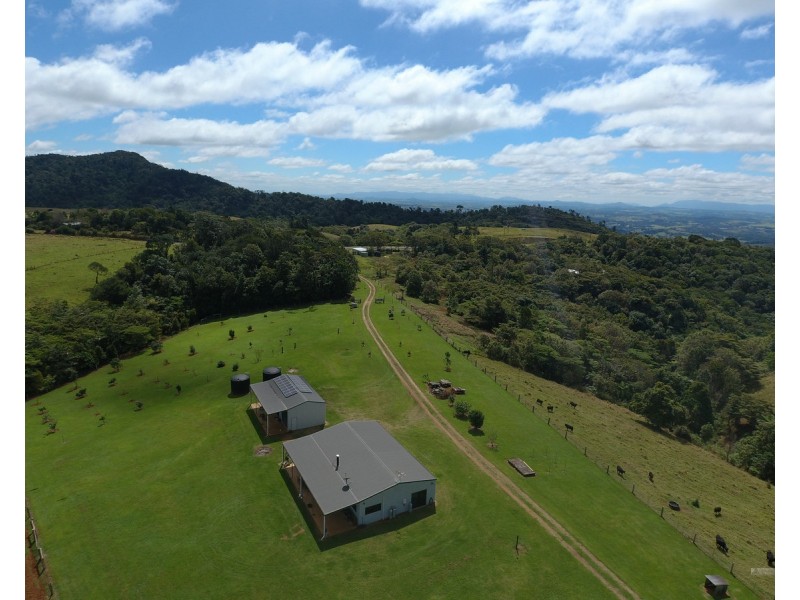 Millaa Millaa QLD 4886