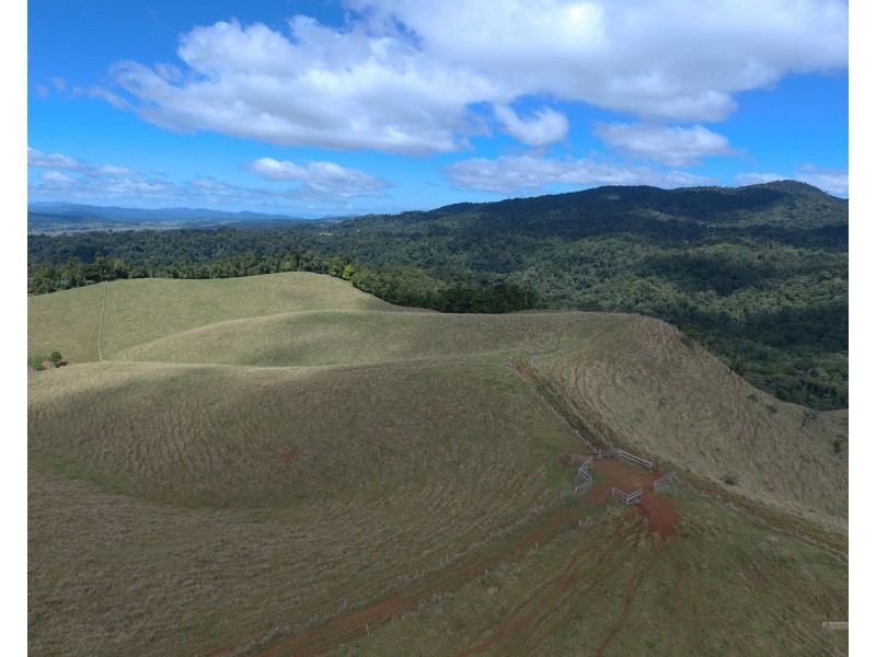 Millaa Millaa QLD 4886