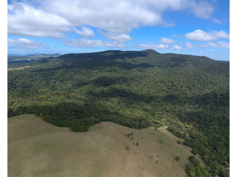 Millaa Millaa QLD 4886