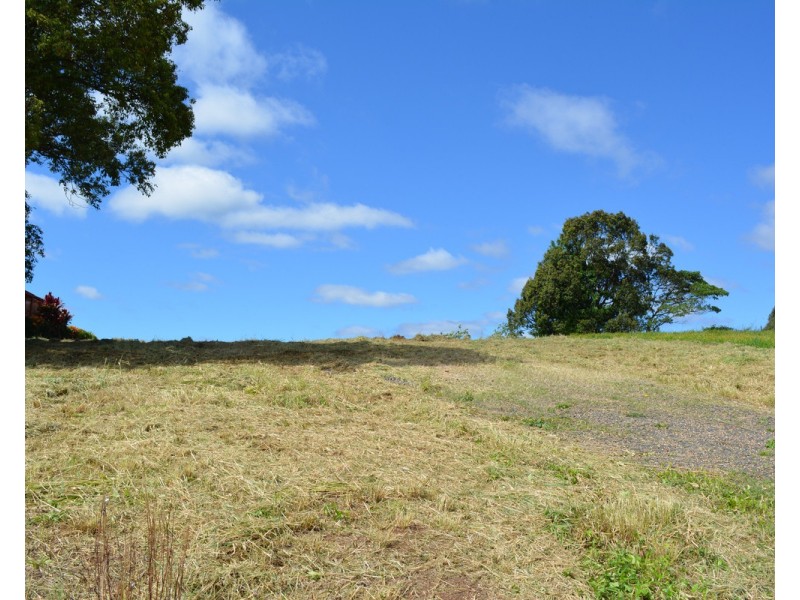 Millaa Millaa QLD 4886