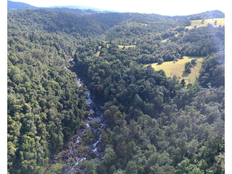 Millaa Millaa QLD 4886