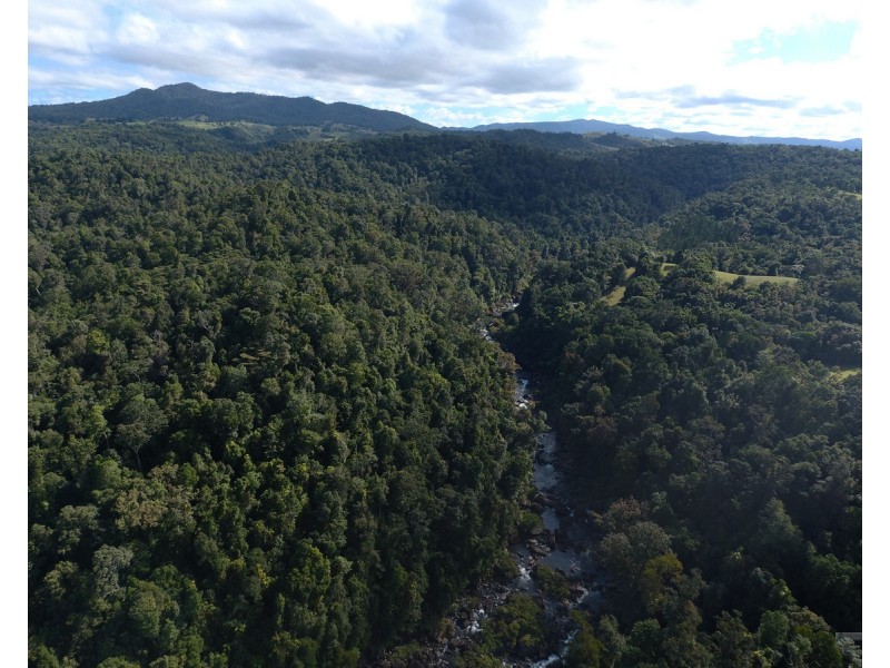 Millaa Millaa QLD 4886