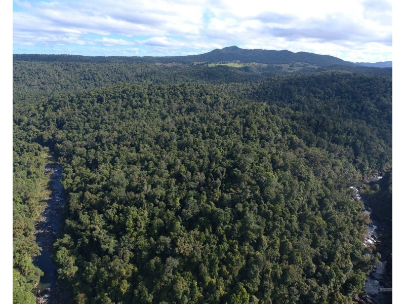 Millaa Millaa QLD 4886