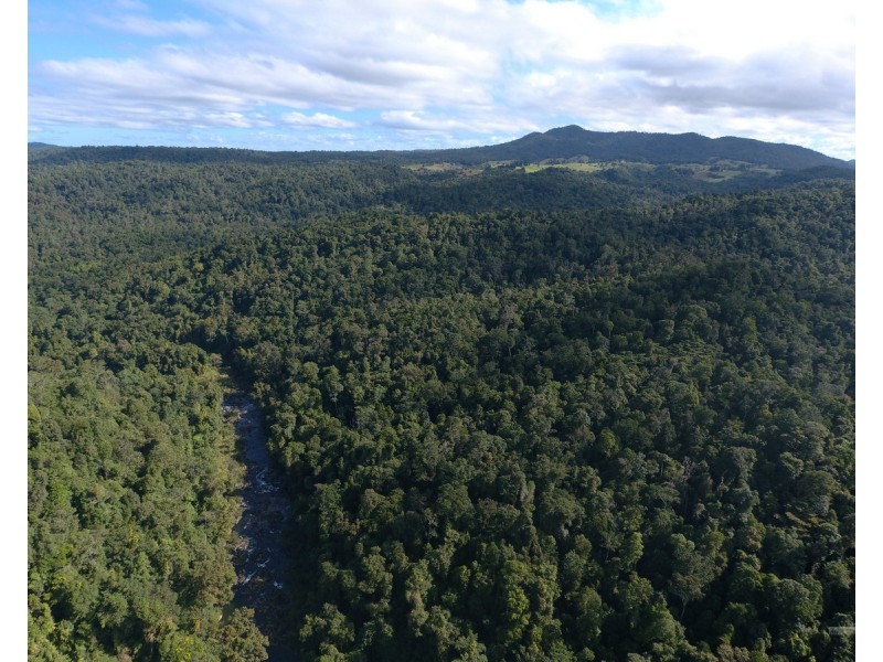 Millaa Millaa QLD 4886