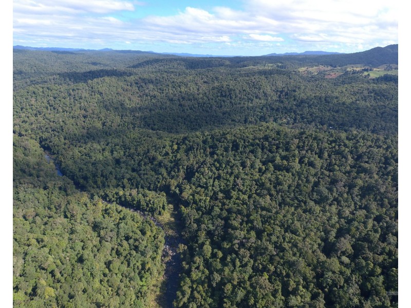 Millaa Millaa QLD 4886