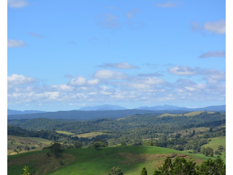 Millaa Millaa QLD 4886