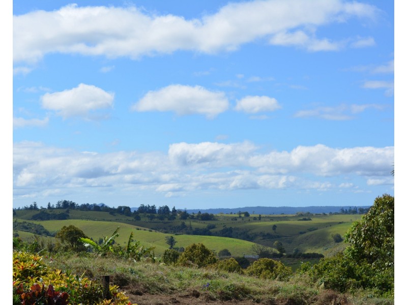 Millaa Millaa QLD 4886