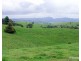 Millaa Millaa QLD 4886