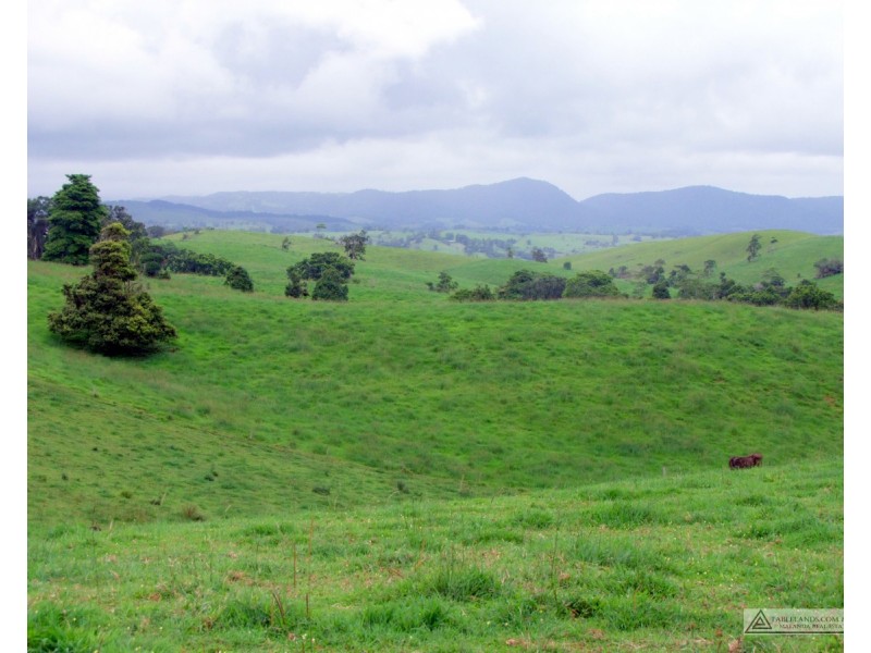 Millaa Millaa QLD 4886