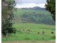 Millaa Millaa QLD 4886