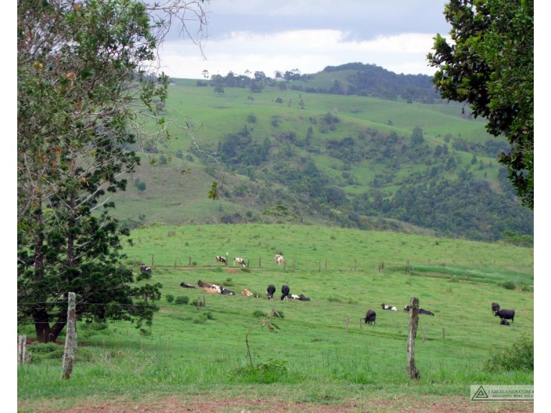 Millaa Millaa QLD 4886