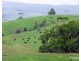 Millaa Millaa QLD 4886