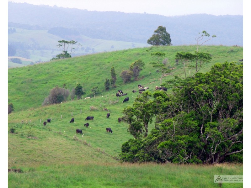 Millaa Millaa QLD 4886