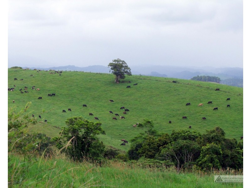 Millaa Millaa QLD 4886