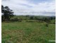 Millaa Millaa QLD 4886