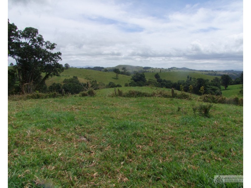 Millaa Millaa QLD 4886