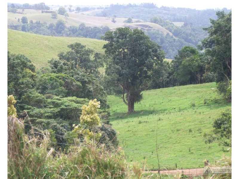 Millaa Millaa QLD 4886