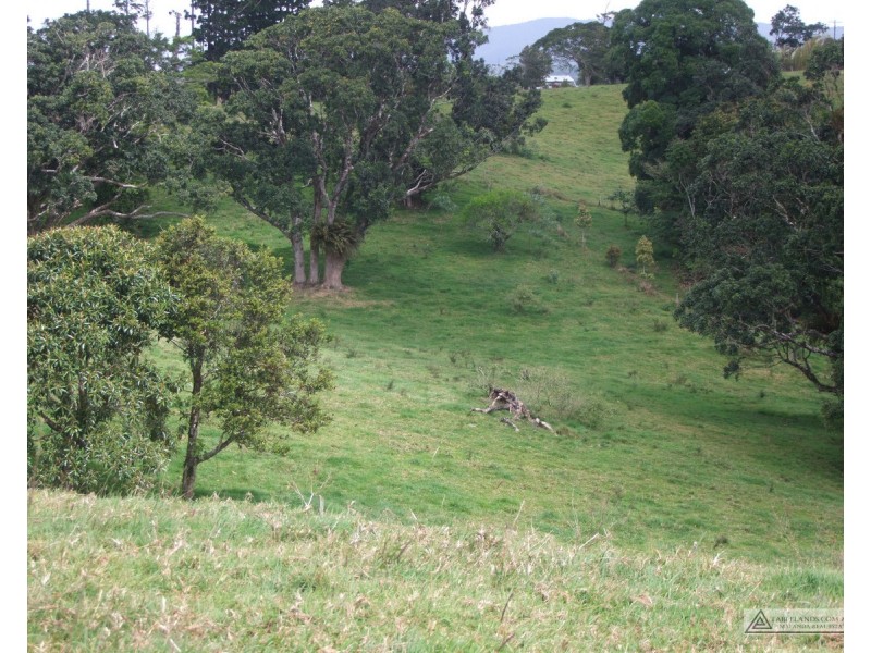 Millaa Millaa QLD 4886