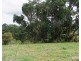 Millaa Millaa QLD 4886