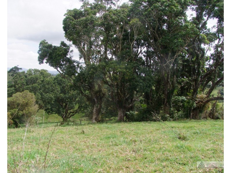 Millaa Millaa QLD 4886