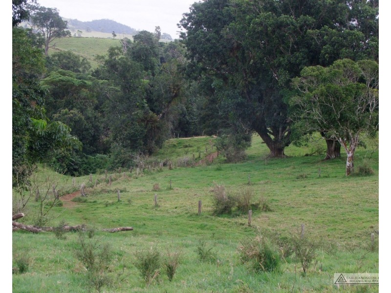 Millaa Millaa QLD 4886