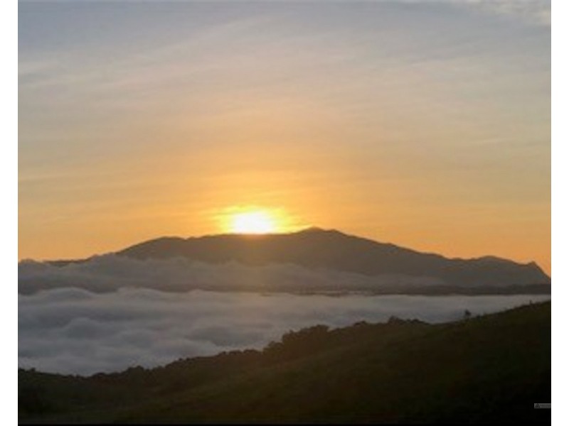 Millaa Millaa QLD 4886