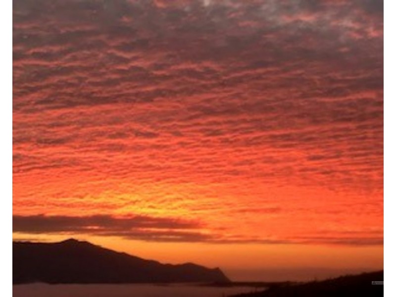 Millaa Millaa QLD 4886