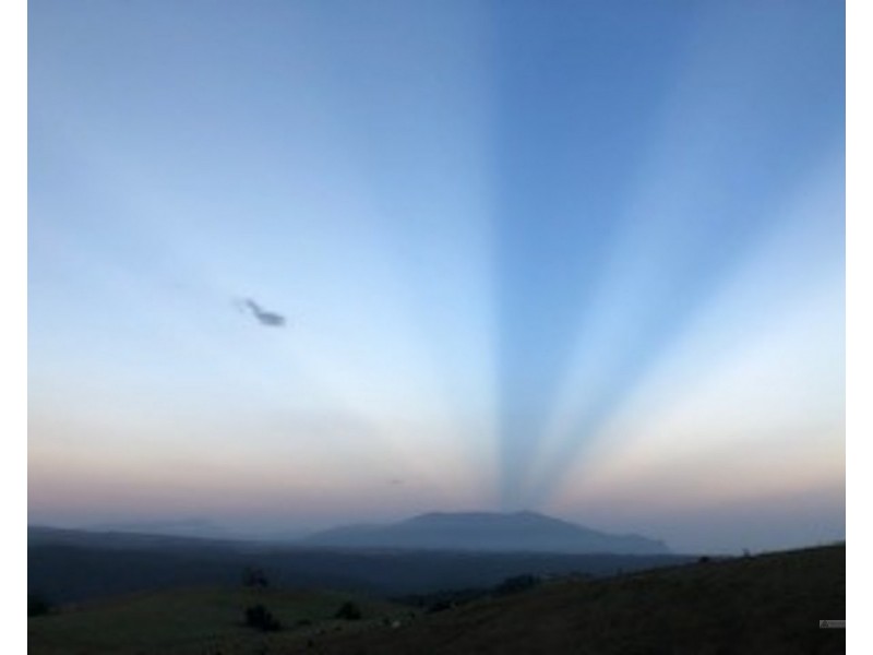 Millaa Millaa QLD 4886